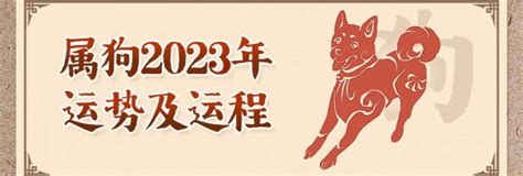 屬狗2023運勢|2023年属狗人的流年运势、每月运势详解